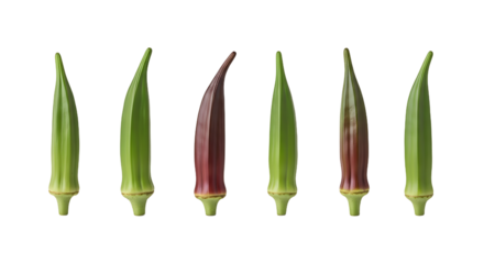 Close-up of fresh okra pods with green and reddish hues on a black background, perfect for cooking and healthy eating concepts