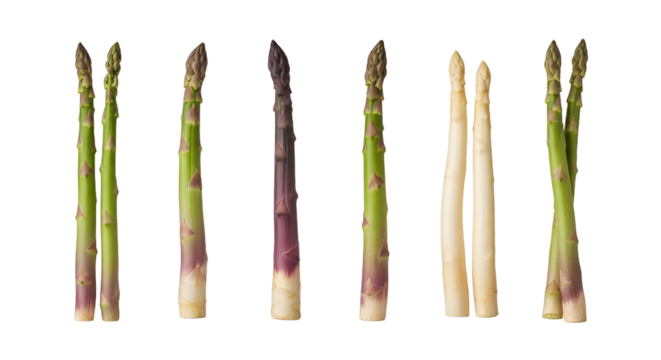 Fresh green and white asparagus spears isolated on white background, healthy vegetable ingredient, perfect for culinary and nutrition content