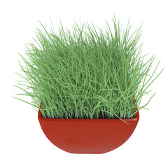 Grass in red planter isolated transparent background 3d rendering PNG
