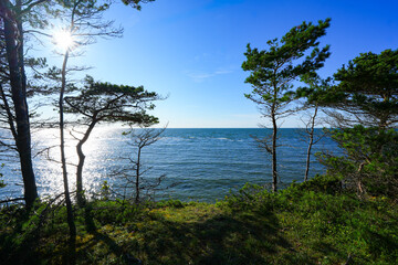 Panga Cliffs on the north coast of the Estonian island of Saaremaa in the Baltic Sea