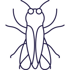 Simple Outline Drawing Of A Cicada Insect With Six Legs And Two Wings On A Transparent Background