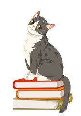 Grey and white cute cat is sitting on a stack of books. Domestic cat character design isolated on white background. Vector cartoon animal illustration for children’s books, stickers, print