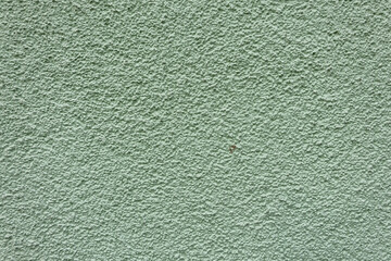 Light green rough plaster wall texture with grainy surface.