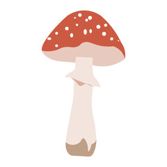 toadstool growing in the forest graphic drawing