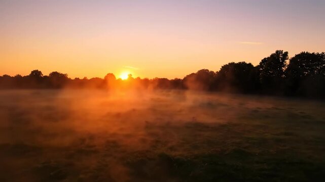 Golden Sunrise in the Meadow: The first rays of sunlight paint the meadow with a soft, golden glow as the sun ascends, creating a tranquil and ethereal landscape.