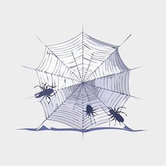 Fototapeta premium A delicate spider web is torn and frayed, its intricate design ruined by an unseen, violent impact.