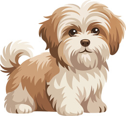 Cute cartoon a illustrator vector Havanese