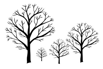 leaveless tree silhouette