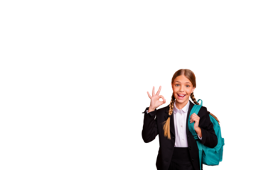 Composite photo collage of happy schoolgirl show okay gesture carry rucksack school supplies preparation isolated on painted background