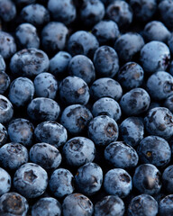A pile of fresh blueberries in market