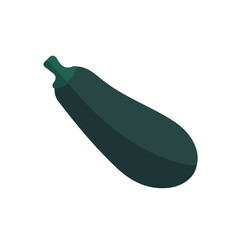 An EPS format illustration, vector, simple flat 2D icon, minimalist design, icon set, A Simple 2D vibrant zucchini illustration isolated on a white background