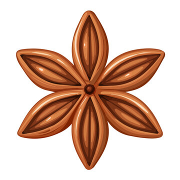 An EPS format illustration, vector, simple flat 2D icon, minimalist design, icon set, A Simple 2D vibrant anise seeds illustration isolated on a white background