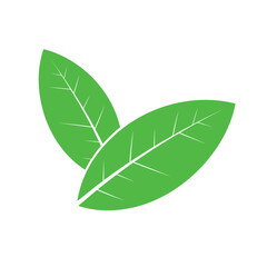 Two Green Leaves with Visible Veins, Symbolizing Nature and Growth.