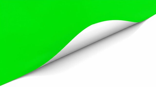 A bright green paper with a curled corner, isolated on a white background vector illustration