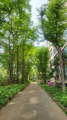 Lush Green Walking Path Between Apartment Buildings in Spring