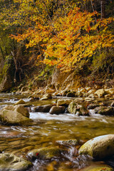 Tranquil autumn stream flowing over mossy rocks beneath golden and orange leaves. Soft sunlight creates a peaceful forest atmosphere full of warmth and harmony.