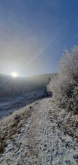 Sun shining over a path through a hoar frost covered forest during winter hiking in Alsace, mobile photo. Atmospheric winter landscape ideal for illustrating nature, sunlight, and seasonal adventure.
