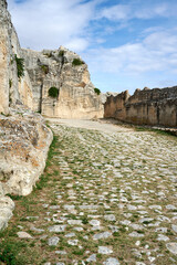 gravina