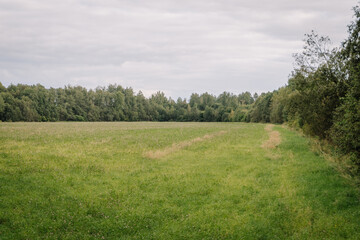 Expansive green meadow with lush grass and trees lining the perimeter, creating a serene natural landscape ideal for outdoor activities and relaxation