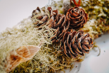 Natural pine cones resting on a bed of moss, showcasing intricate textures and earthy tones,...