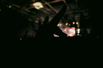 Hand making a gesture during a concert