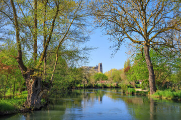 Fototapete bei efototapeten.de bestellen   