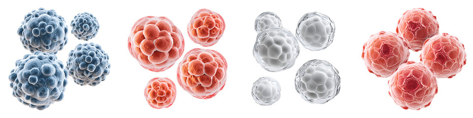 Microscopic view of cells or viruses, illustrating biological and medical research, featuring blue, red, and grey structures on a white background.