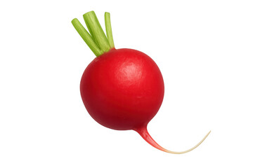 Fresh red radish with green leaves, healthy root vegetable, raw ingredient, isolated on transparent background