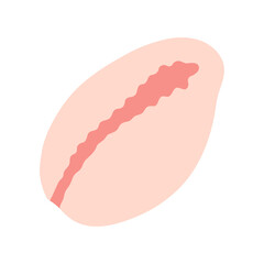 Simple small pink cowrie shell with central slit, minimalist and cute design in flat vector cartoon style. For summer, marine, vacation, beach, sea, ocean themed design. Isolated white background.