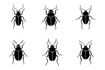 Silhouette beetle insect bug nature wildlife creature