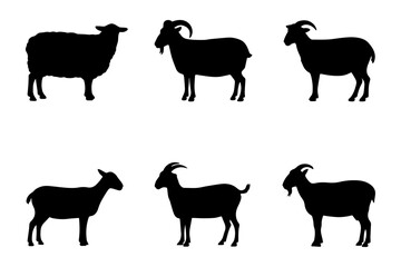 silhouette of sheep and goat livestock mammal farm animal collection 