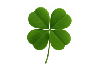 Four leaf clover representing luck, fortune, and nature on transparent background for st. Patrick's day and spring concepts
