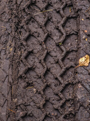 Tire tracks in the mud in an autumn forest