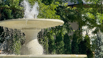 Sprightly fountain dance amidst verdant whispers, embodying serenity and enchantment, perfect for...