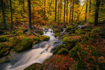 Fantasy and dark autumn forest with the best mystic atmosphere in the north of Bohemia, in Jizera mountains. like a fairy tale with pure water rivers and magic waterfalls.