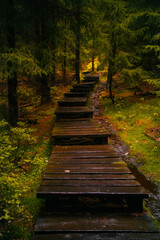 Wooden path in fantasy and dark autumn forest with the best mystic atmosphere in the north of Bohemia, in Jizera mountains. Like a path to fairy tale.