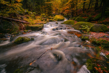 Fantasy and dark autumn forest with the best mystic atmosphere in the north of Bohemia, in Jizera mountains. like a fairy tale with pure water rivers and magic waterfalls.