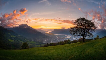 Sunset Panorama Featuring Solitary Tree