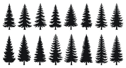 Collection of Silhouettes of Evergreen Trees for Nature and Forest Design Elements