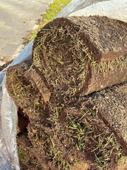 Stack of lawn in rolls closeup. Rolled lawn. Vertical