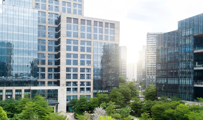 Naklejka premium Trees in front of the office buildings