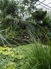 UNIVERSITY OF OXFORD BOTANIC GARDEN, UK