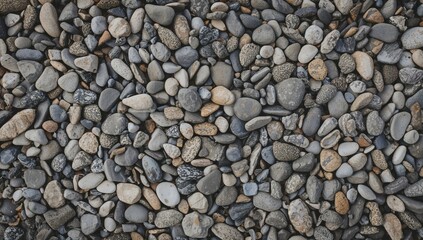 Top-down view of a pathway made from smooth, rounded river stones in varied hues, forming a natural mosaic with intricate rocky textures