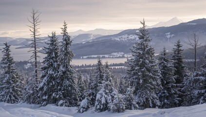 Snowfall The Mountainous Region 