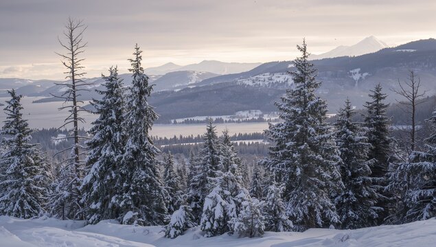 Snowfall in the Mountainous Region