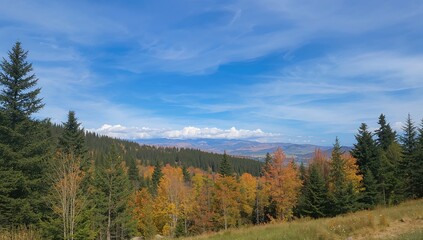 Various objects captured in outdoor settings