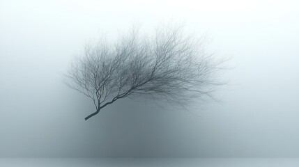 Fototapeta premium Abstract, dark tree branches in soft light
