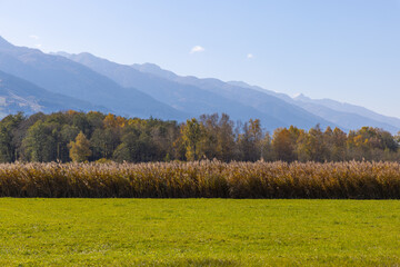 Herbstimpressionen, Landschaftspanorama, Lärchen, Indian Summer, bunt, Pinzgau, Großglocknerstrasse