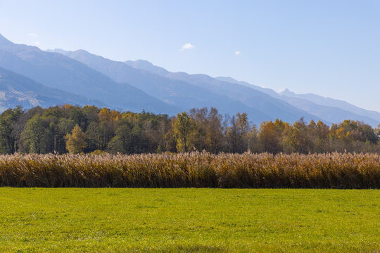 Herbstimpressionen, Landschaftspanorama, L&auml;rchen, Indian Summer, bunt, Pinzgau, Gro&szlig;glocknerstrasse