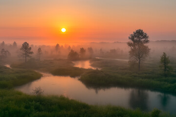 Naklejka premium awesome summer sunrise over the swamp with fog and sun